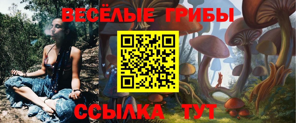 Орск  Псилоцибиновые грибы мухоморы  как найти закладки  Вход с VPN 