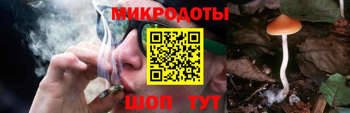 Галлюциногенные грибы GOLDEN TEACHER Орск
